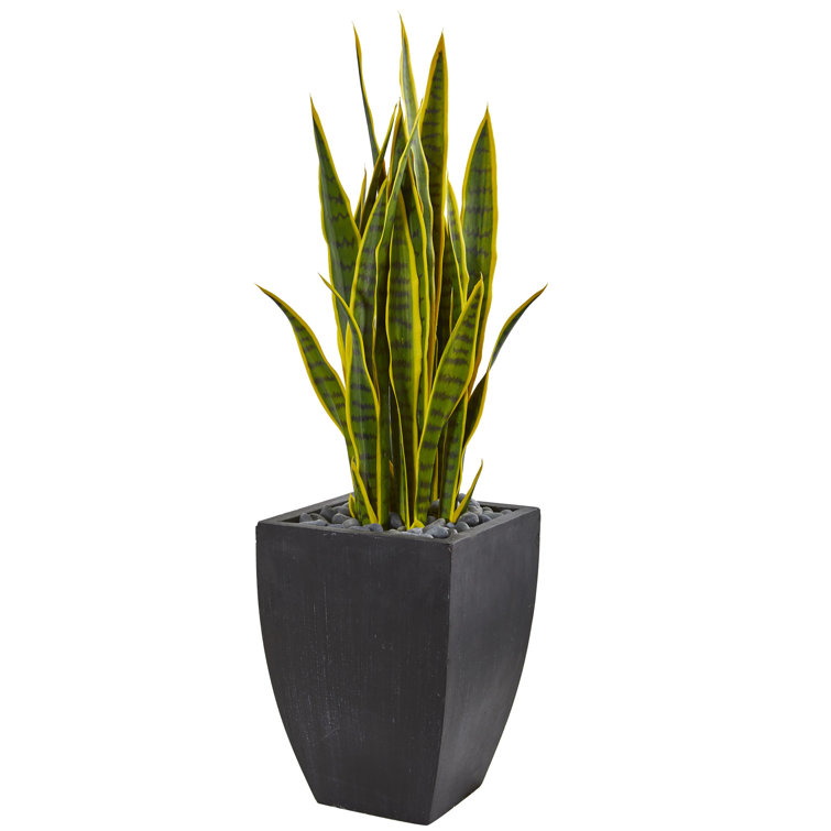 Bay Isle Home 25.5" Artificial Snake Plant in Planter Wayfair